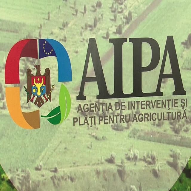 AIPA: noile tipuri de subvenții necesită personal suplimentar
