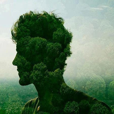 Cтратегическая экологическая оценка будет обязательной