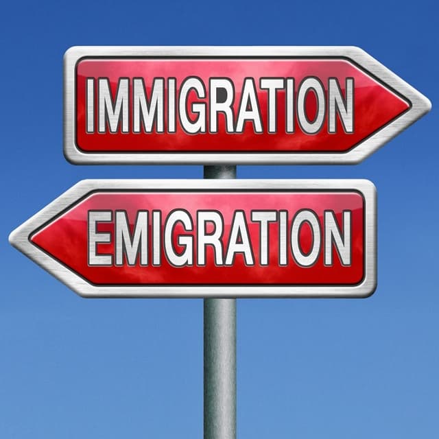 Imigrația și azilul, în vizorul Guvernului