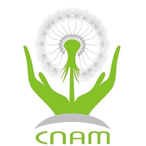 Veniturile și cheltuielile CNAM, în creștere