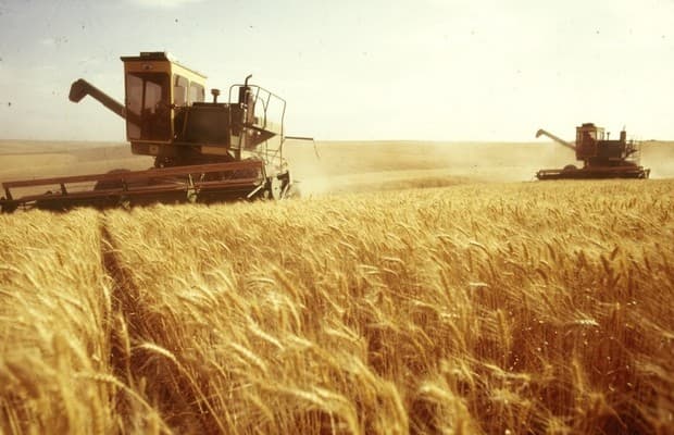 Постановление о некоторых временных мерах по классификации ссудо-сберегательными ассоциациями ссуд, выданных некоторым дебиторам сельскохозяйственной отрасли