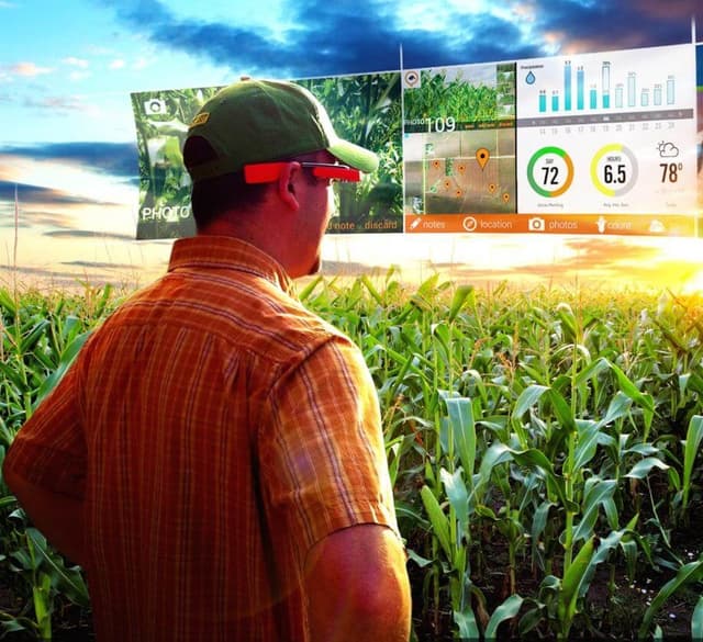 Și producătorii agricoli micro vor putea beneficia de subvenții