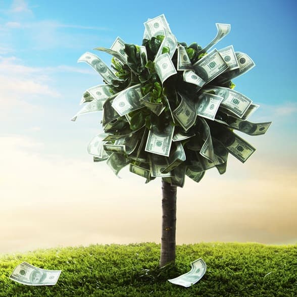 BNS actualizează suma investiţiilor efectuate