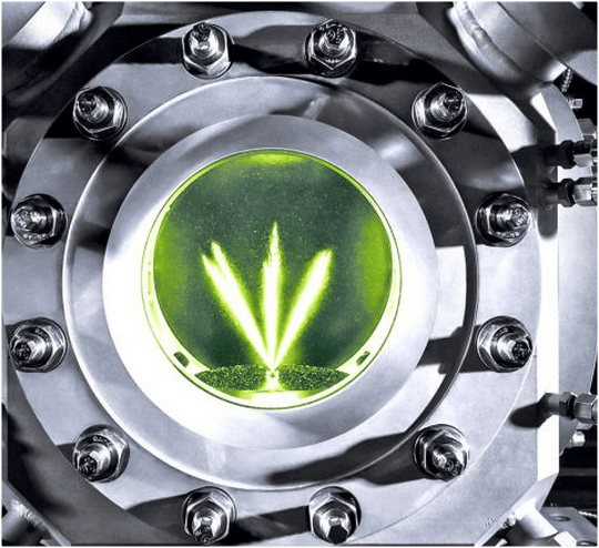 La Chișinău s-a desfășurat un Bioforum axat pe plante energetice și biocombustibili solizi