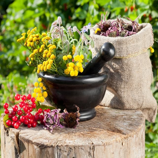 Перечень сезонных работ в Молдове расширен