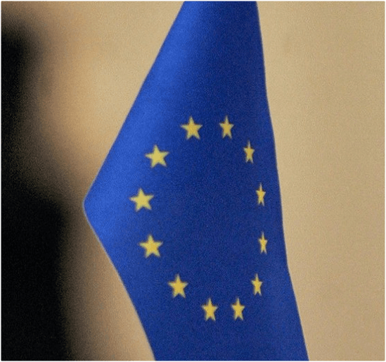 Проект регламента  об администрировании тарифных квот в торговле с Евросоюзом выставлен на обсуждение