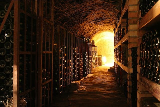 Accizele la vinurile maturate