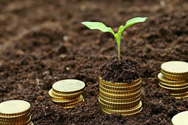 Гражданин осуществляет инвестиции в улучшение земельного участка. Следует ли корректировать стоимостной базис?