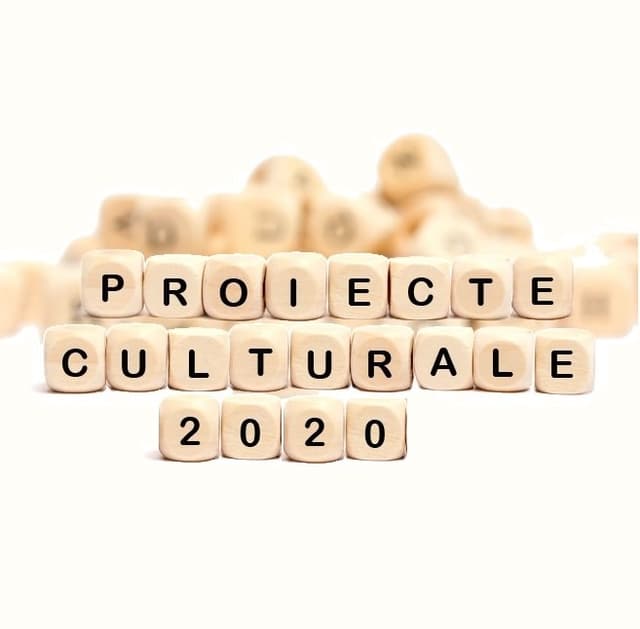 Noi criterii pentru finanțarea proiectelor culturale desfășurate de ONG