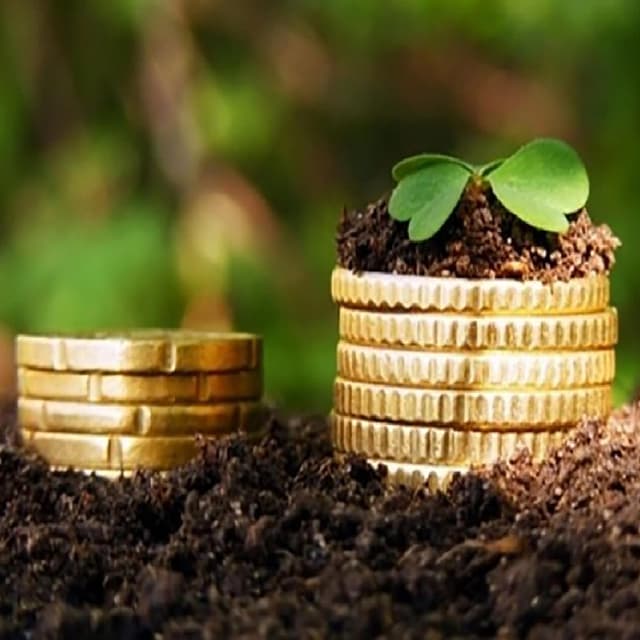 Grupurile de producători agricoli au beneficiat de granturi în sumă de $8,75 mil.