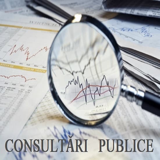 Consultarea Regulamentului privind mecanismul de subvenționare a locurilor de muncă