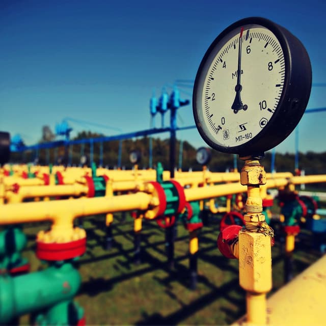 Regulile de dezvoltare a reţelelor de distribuţie a gazelor naturale, aprobate