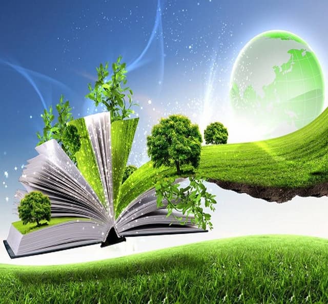 Техник-эколог. Новый стандарт занятости