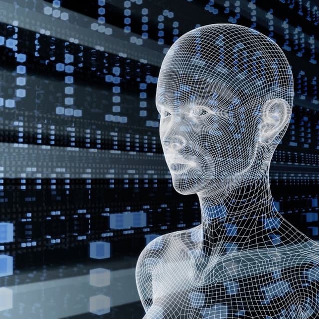 Identificarea persoanelor în sistemul AOAM