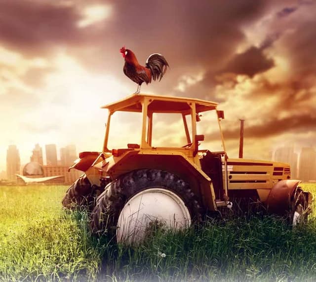 Deținătorii loturilor de pe lângă casă ar putea înregistra o Gospodărie țărănească