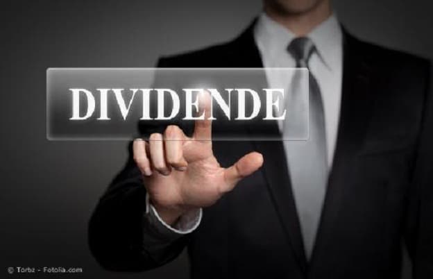 Любая ли выплата дивидендов в течение года считается предварительной?