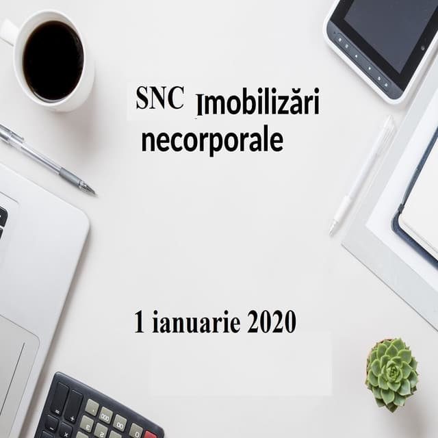 Modificările la SNC „Imobilizări necorporale și corporale”, în vigoare din 1 ianuarie 2020. Corespondența conturilor