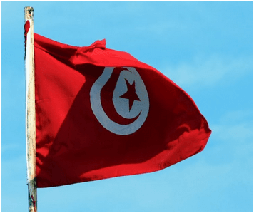 Republica Tunisiană a abolit regimul de vize pentru cetăţenii Republicii Moldova