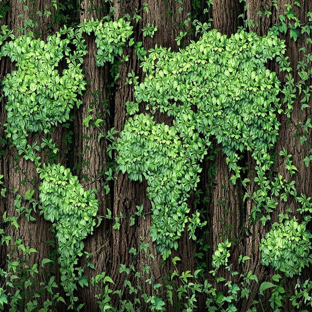 IMM vor fi susținute în implementarea „economiei verzi”