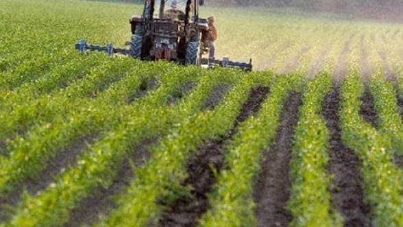 În curînd producătorii agricoli vor putea accesa mijloace din creditul polonez