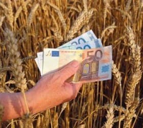 AIPA nu este gata să accepte documentele pentru achitarea creditului polonez