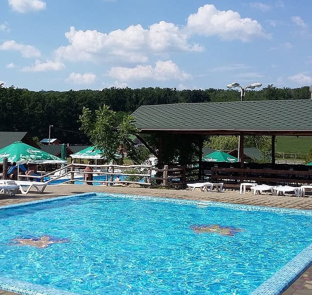 Reflectarea în contabilitate a biletului de tratament oferit entității de CNAS