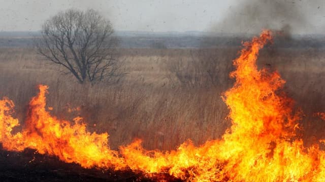 Amenzi mai dure pentru incendierea vegetației