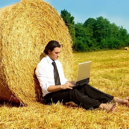 Unii producători agricoli vor beneficia de subvenții majorate