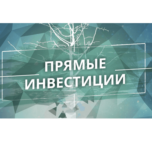 Иностранные инвестиции в Молдове