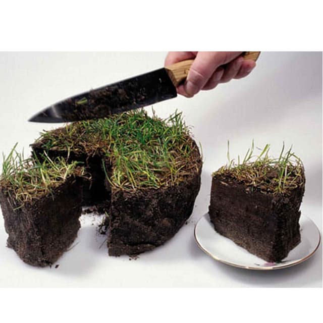 Утвержден порядок корректировки ошибок, допущенных в процессе передачи земель в собственность