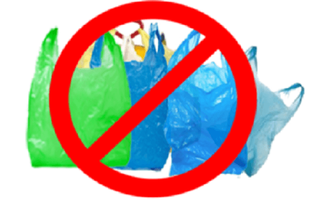 Pungile din plastic vor fi interzise