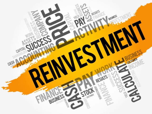 Нулевая ставка на реинвестированную прибыль: быть или не быть?
