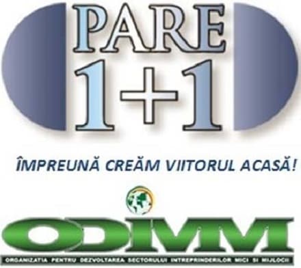 Încă 20 mil. lei din remitenţe au fost fost investiţi în economia ţării