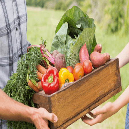 Упрощенный налоговый режим для физлиц-закупщиков сельхозпродукции