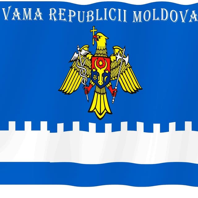 Cine va deveni director al Serviciului Vamal – Natalia Calenic sau Iurie Gorea?