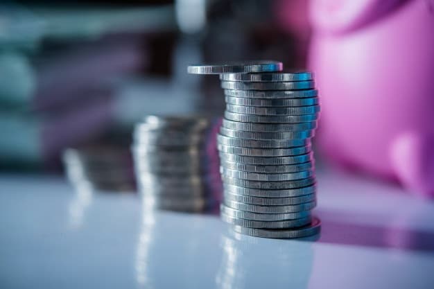 SFS a acceptat spre restituire supraplata impozitului pe venit a persoanelor fizice