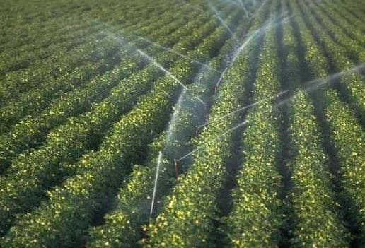 La Coșnița a fost lansat sistemul de irigare, reabilitat cu suportul Corporației americane  ”Provocările Mileniului”