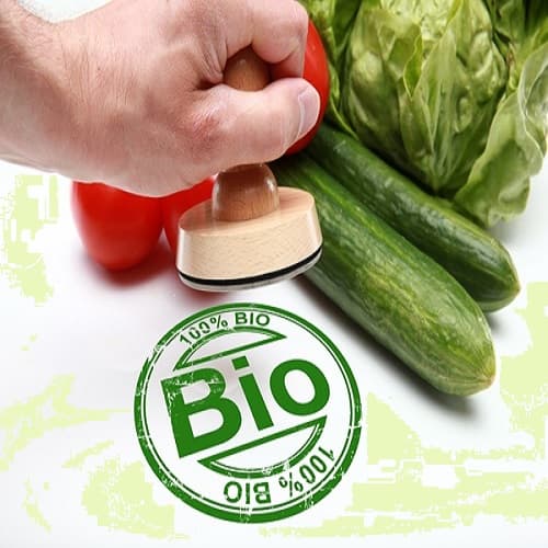 „Agricultura Ecologică – Republica Moldova”