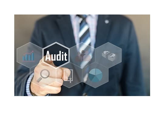 Componența Comitetului de supraveghere a auditului pentru următorii 3 ani