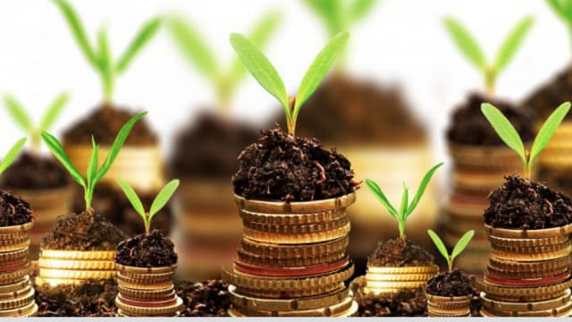 Reflectarea în VEN12 a subvențiilor primite din fondurile de subvenţionare a producătorilor agricoli