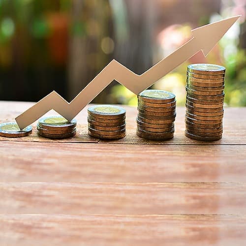 Politica fiscală și vamală 2021: majorarea scutirilor acordate persoanelor fizice