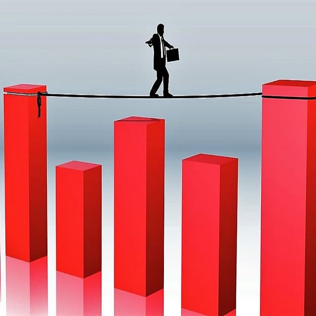 Statul urmează să acționeze ca un proprietar privat prudent