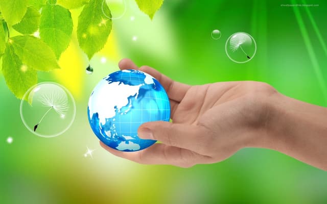 Planul anual de activitate a Proiectului Energie și Biomasă va ridica eficiența energetică a Moldovei