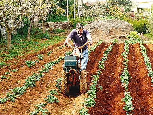 Investițiile în agricultură sunt utilizate ineficient