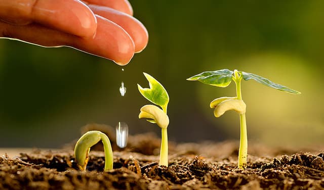 Noi prevederi în Regulamentul de acordare a subvențiilor din FNDAMR