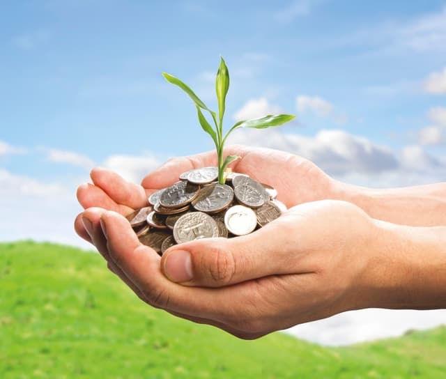 Japonia oferă finanțare pentru îmbunătățirea productivității agricole