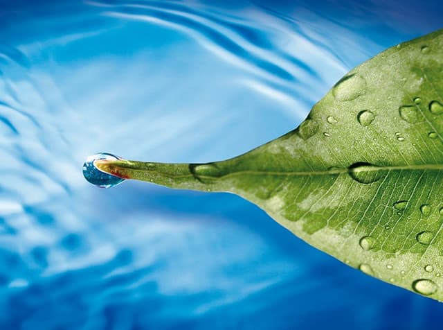 Producerea ecologică necesită susţinere şi promovare