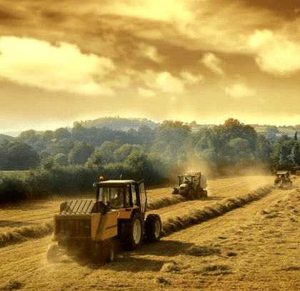 Noul regulament de subvenționare a producătorilor agricoli – în proces de elaborare