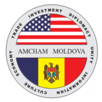 Poziția AmCham în privința noilor reguli de funcționare a Registrului general electronic al facturilor fiscale