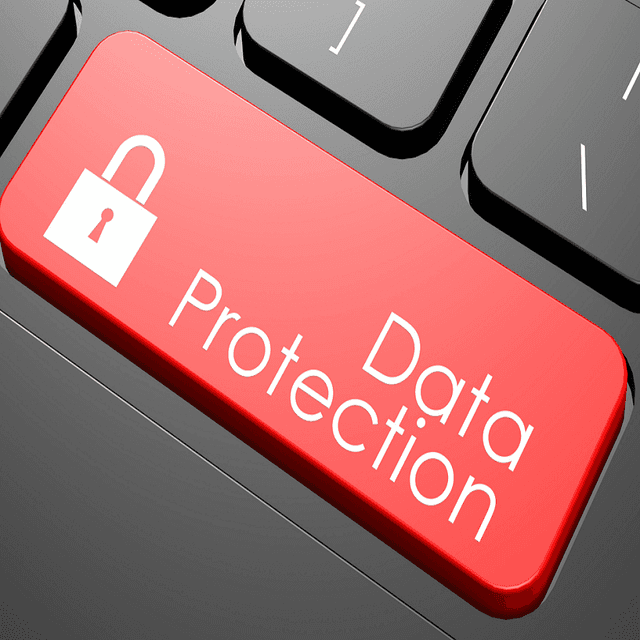 Practica judiciară. Transmiterea transfrontalieră a datelor cu caracter personal